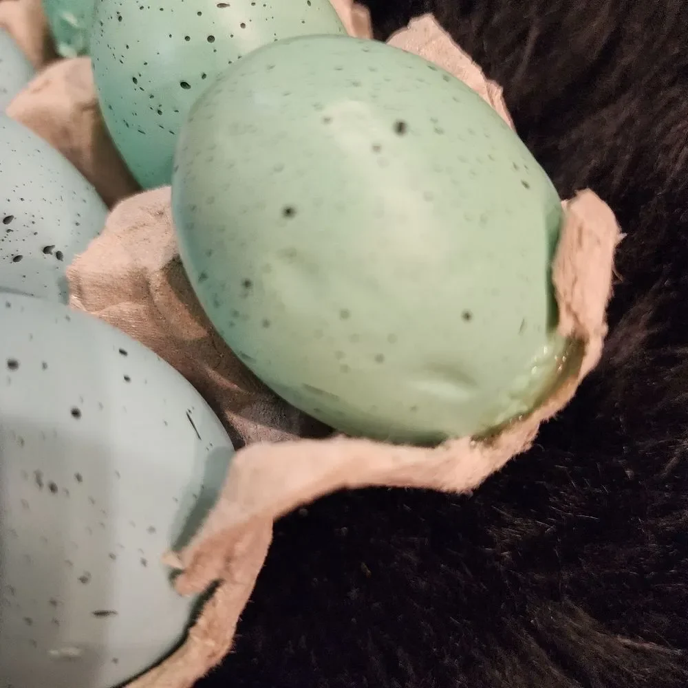 Speckled Dozen of Eggs With Carton Crate and Grass Bunny